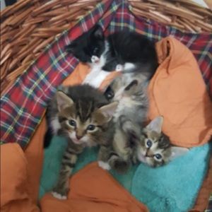 Meet your Posher, Daniela